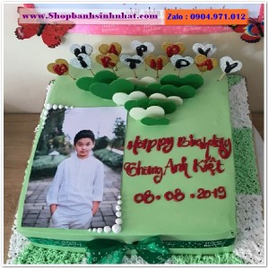 Bánh Sinh Nhật In Hình Ảnh - H485